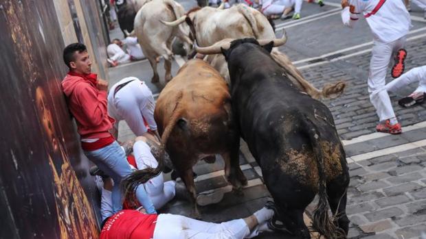 Emocionante nobleza de los Núñez del Cuvillo