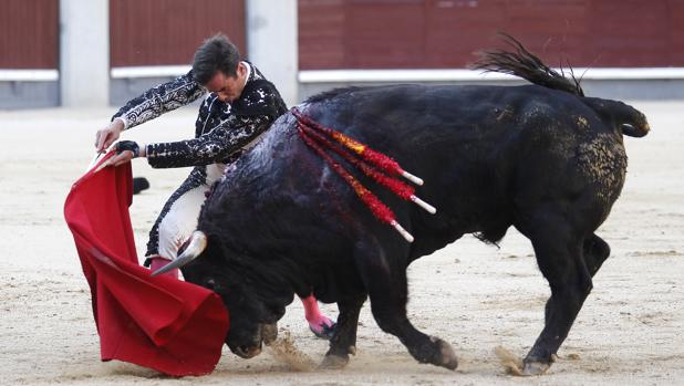 Excelente impresión del sevillano Juan Ortega en Las Ventas