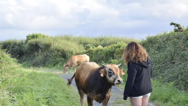 La foto contra la tauromaquia de Lucía Etxebarría que la ha convertido en objeto de mofa