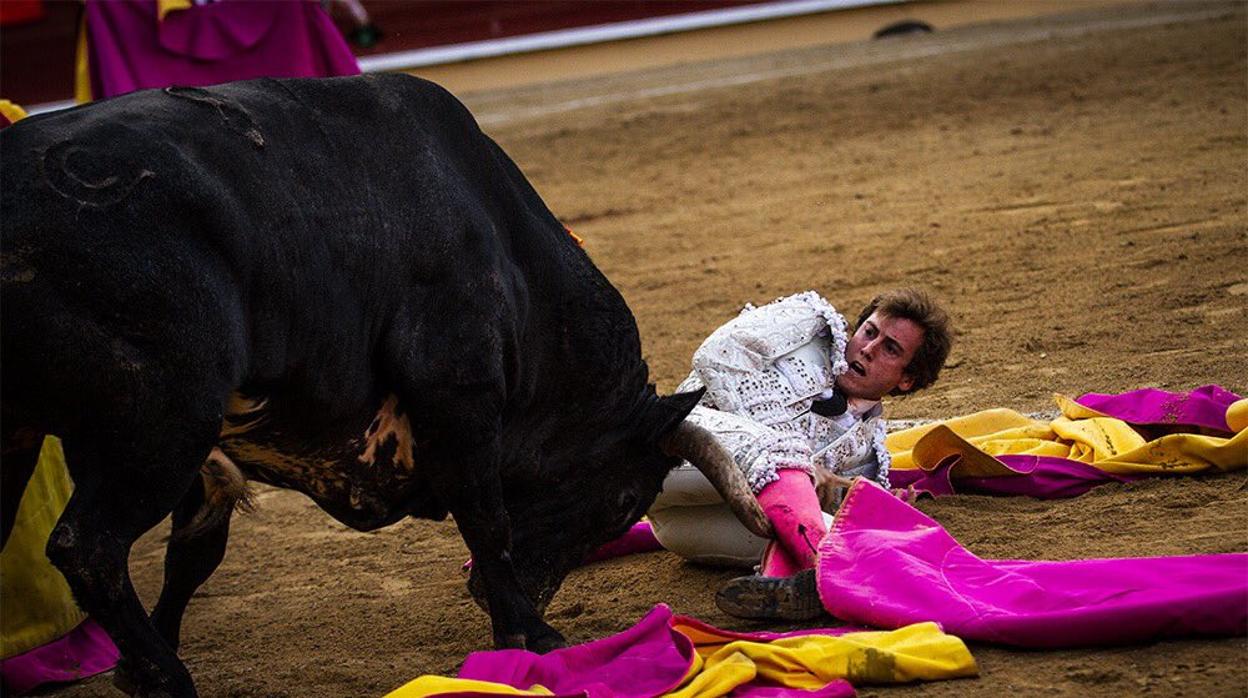 Román, a merced del toro de La Quinta