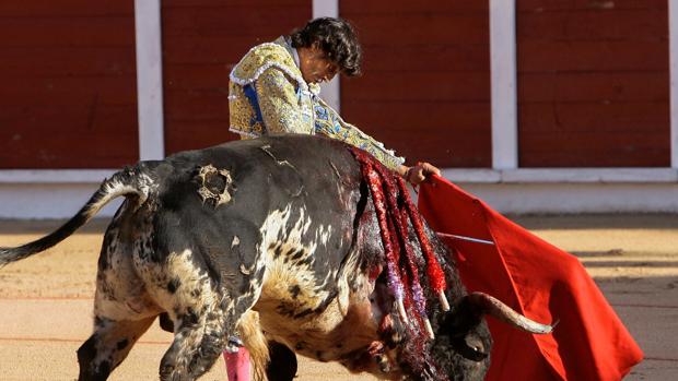 Oreja para Curro Díaz y Perera en Guadalajara