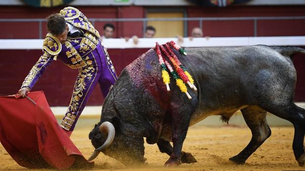 Feria de Logroño: los victorinos que morían con la boca cerrada