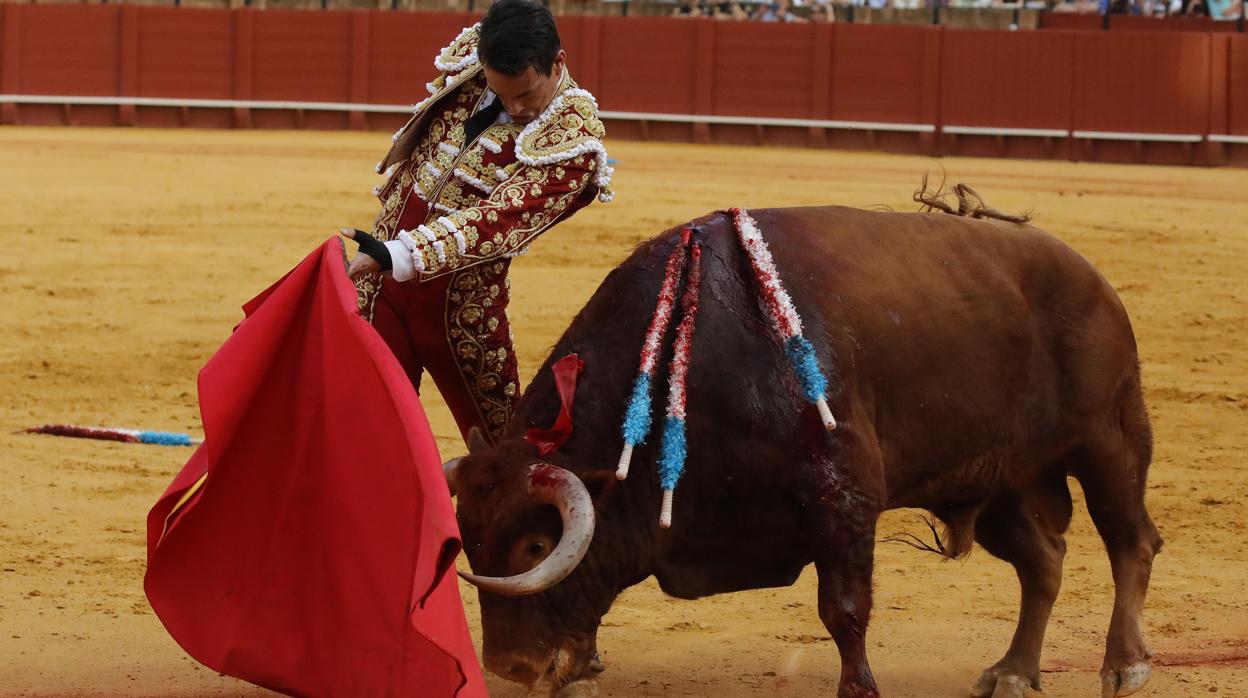 José María Manzanares inicia un pase de pecho