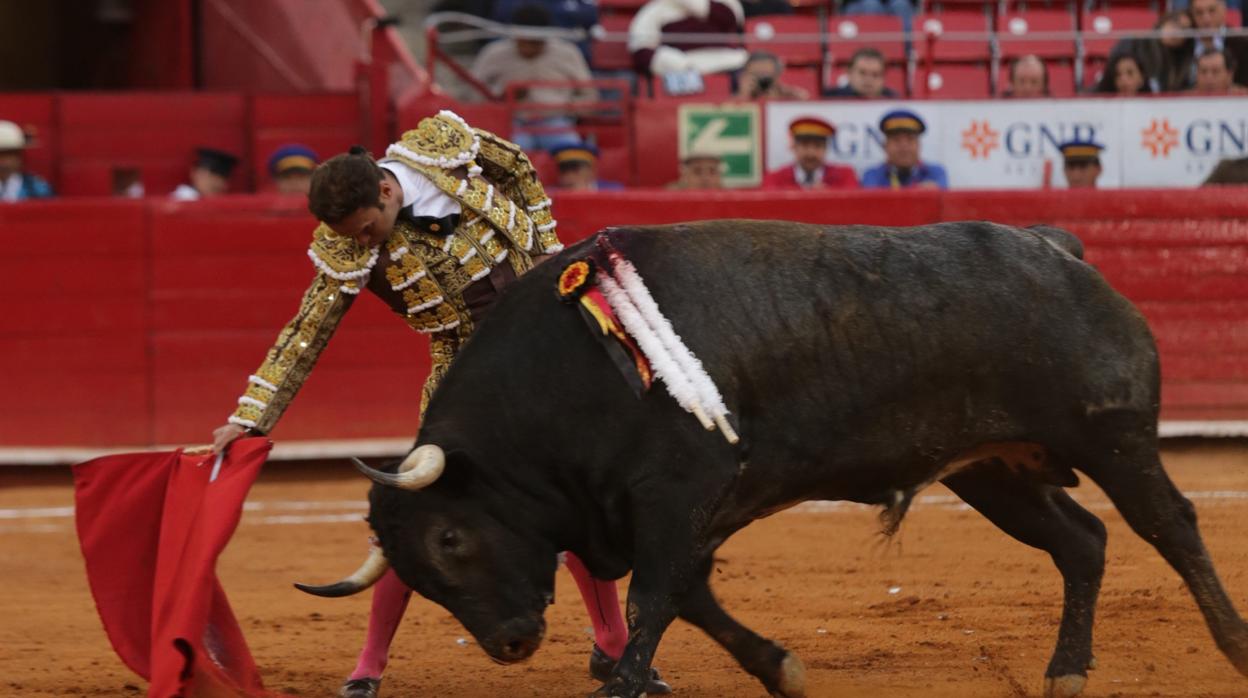 Antonio Ferrera, con el toro «Luna Llena»