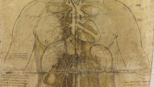 Descubren la huella de Da Vinci en un dibujo médico