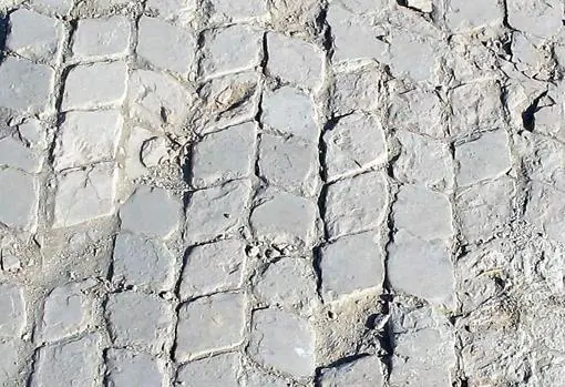 Detalle del suelo en las termas de Caraca