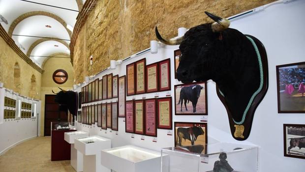 Osuna recopila su historia en un valioso Museo Taurino