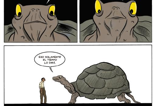 Viñetas de «Buñuel en el laberinto de las tortugas»