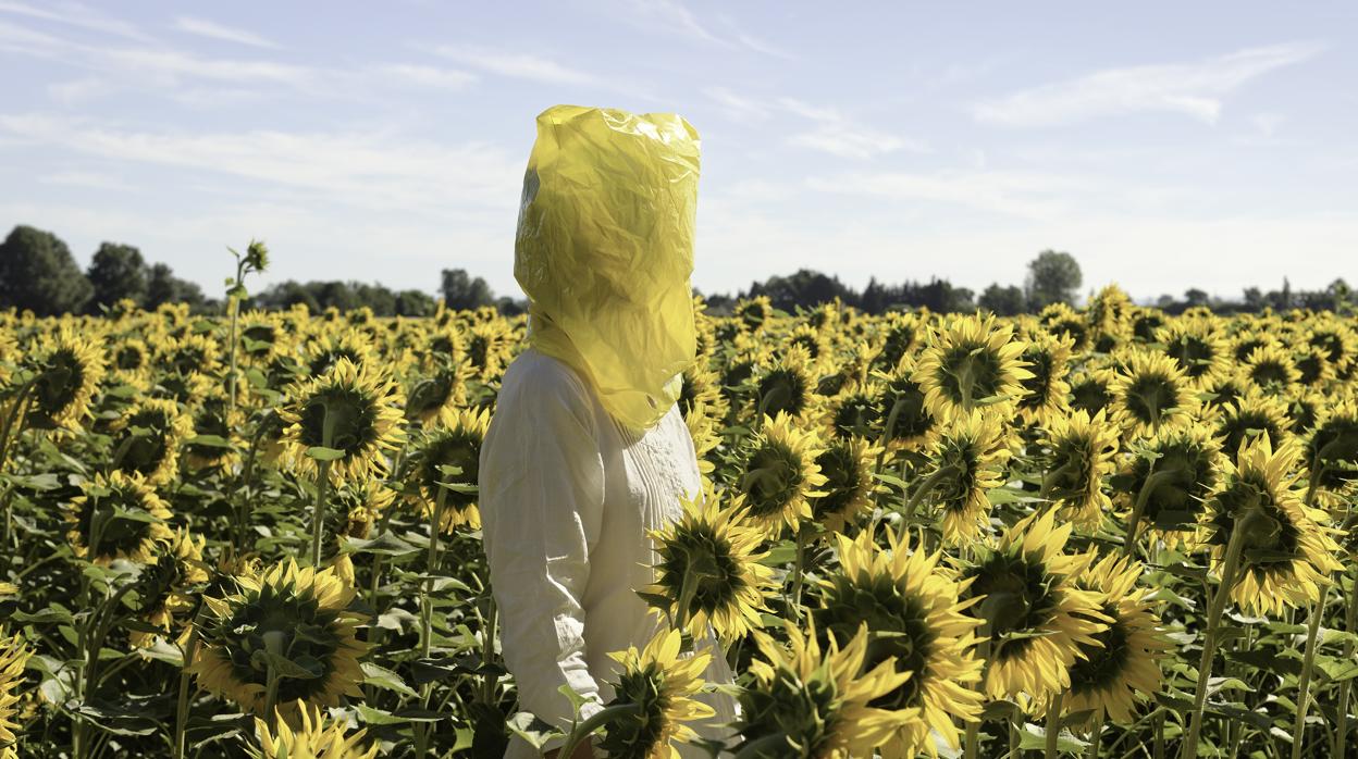 Serie de retratos «Gelbe Musik with Sunflowers» (Elina Brotherus, 2016), que se expondrá en Fernán Gómez. Centro Cultural de la Villa (Madrid)