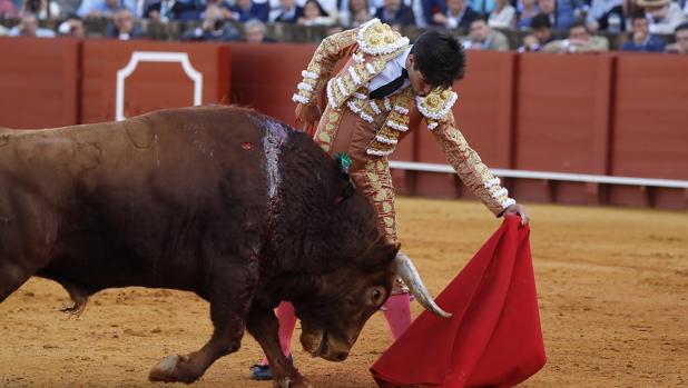 Toros en la Real Maestranza de Sevilla: Y al final no salió «Niñito»