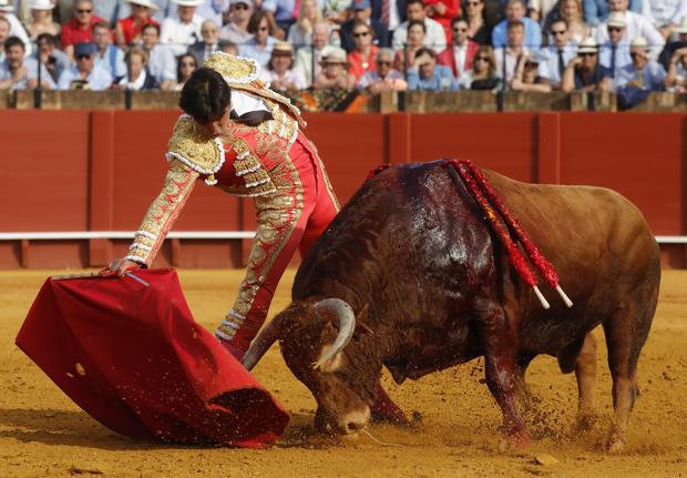 Oreja a Miguel Ángel Perera con un gran toro de Santiago Domecq en Sevilla