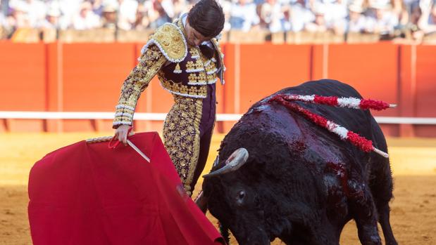 Sevilla encuentra a su torero en Pablo Aguado