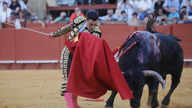 Toros en Sevilla: Una simple cuestión de sitio