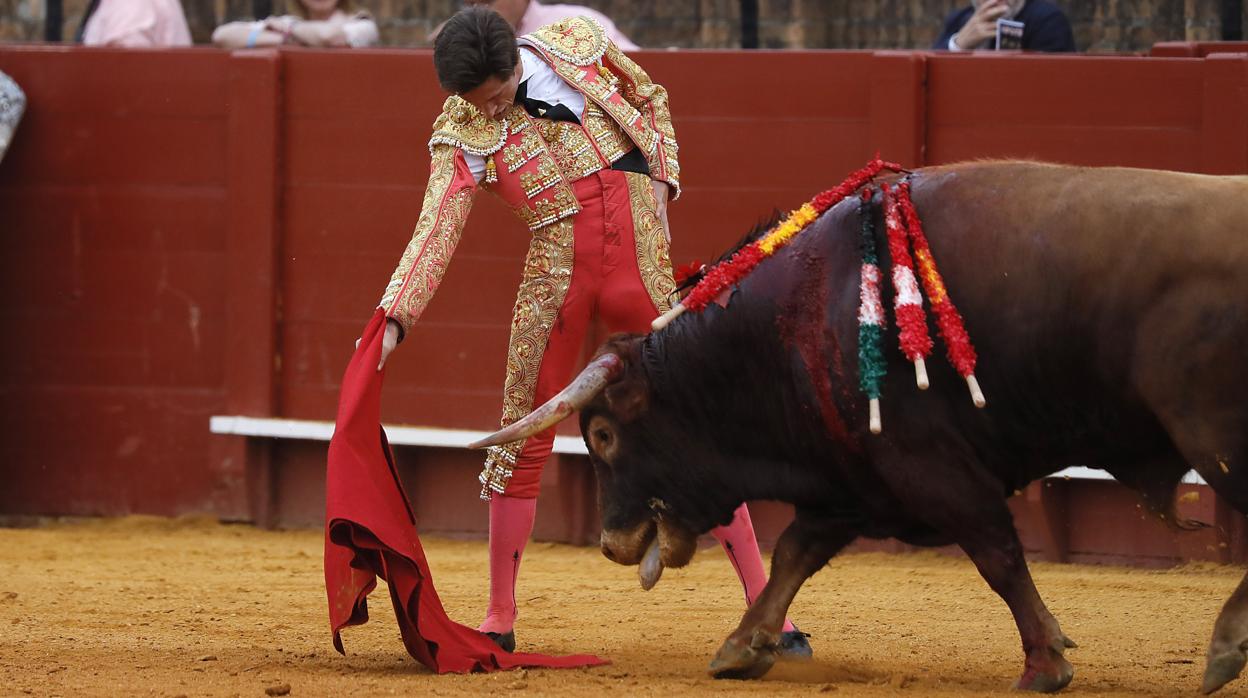 Ángel Jímenez, novillada de abono en la Real Maestranza de Sevilla