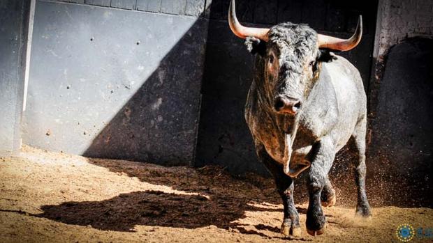 Directo: la corrida de Victorino en San Isidro, toro a toro