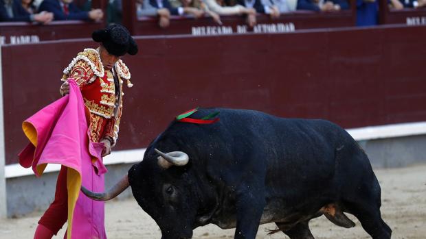 Toros: reflexiones sobre San Isidro