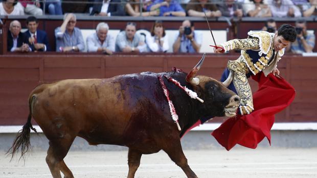 El «VAR» del tendido: la mirada del espanto