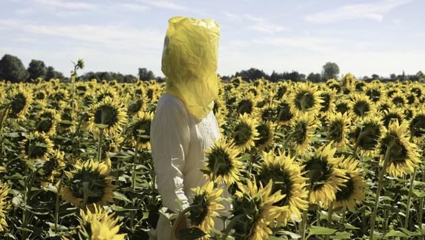 Lo «siempre visto» en PHotoEspaña'19