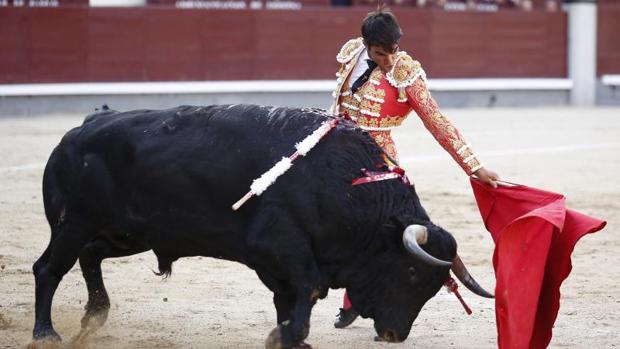 Toros de Guisando con divisa Cuadri en Las Ventas