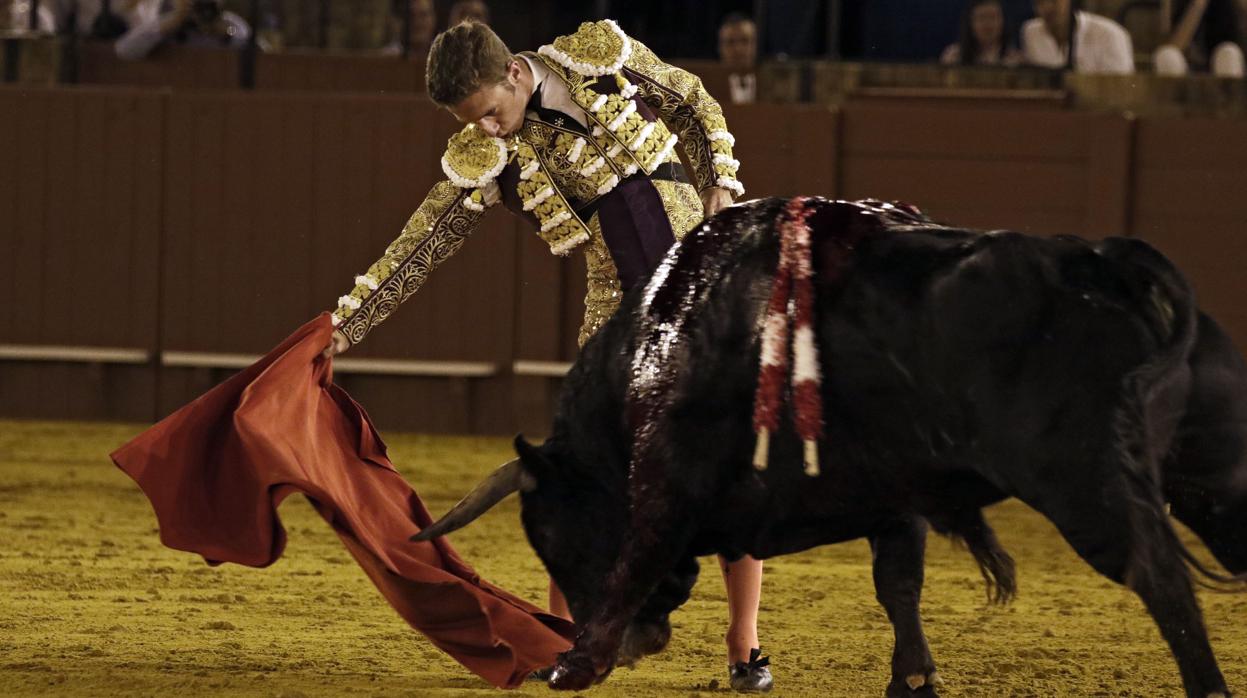 Calerito regresó ayer a Sevilla y logró dar una vuelta al ruedo