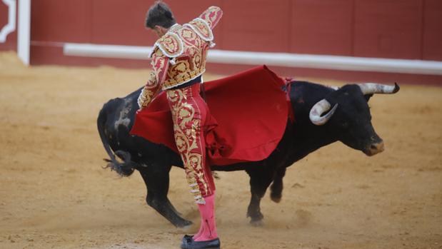 Manuel Escribano indulta un toro en su reaparición en Utrera