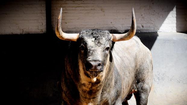 Directo: los toros más guapos (Partido de Resina) se lidian hoy en Las Ventas