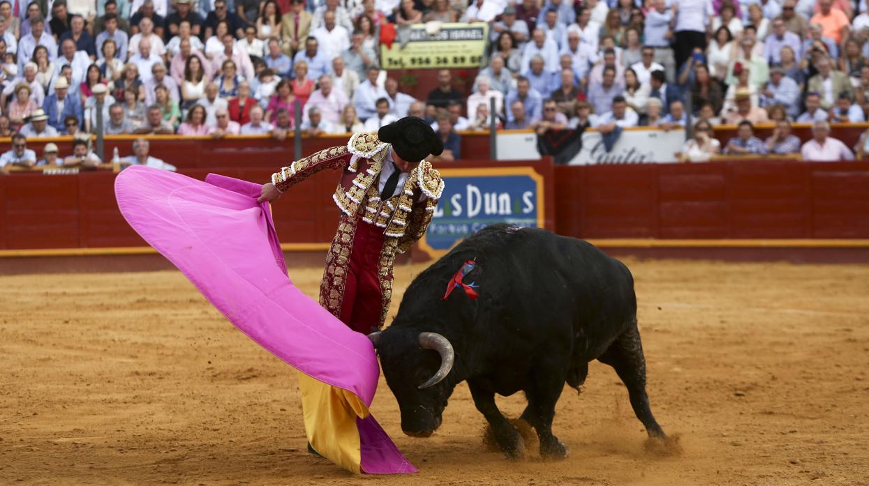 Los aficionados gaditanos al mundo del toro tienen estas oportunidades de disfrutar de su pasión en la provincia de Cádiz.