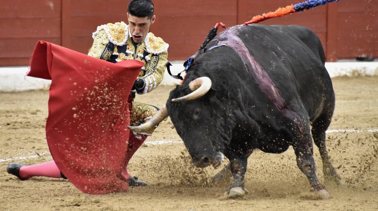 Talavante, en la plaza de Colmenar Viejo