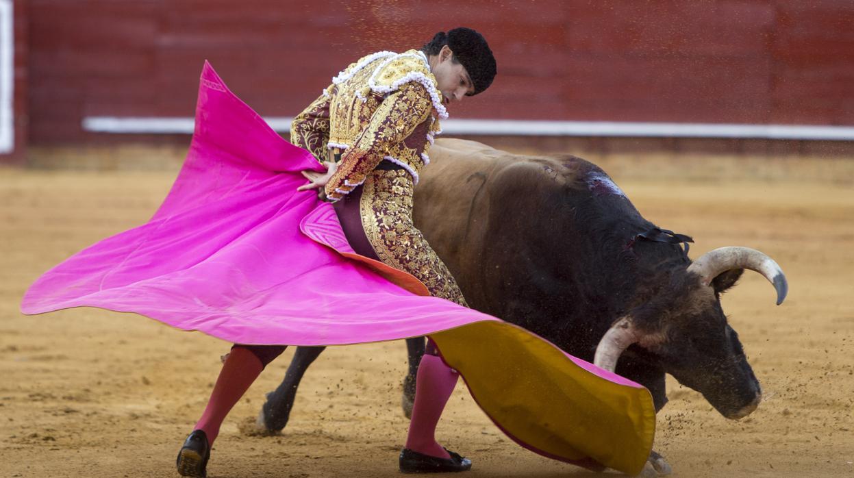 Pablo Aguado remata con el capote