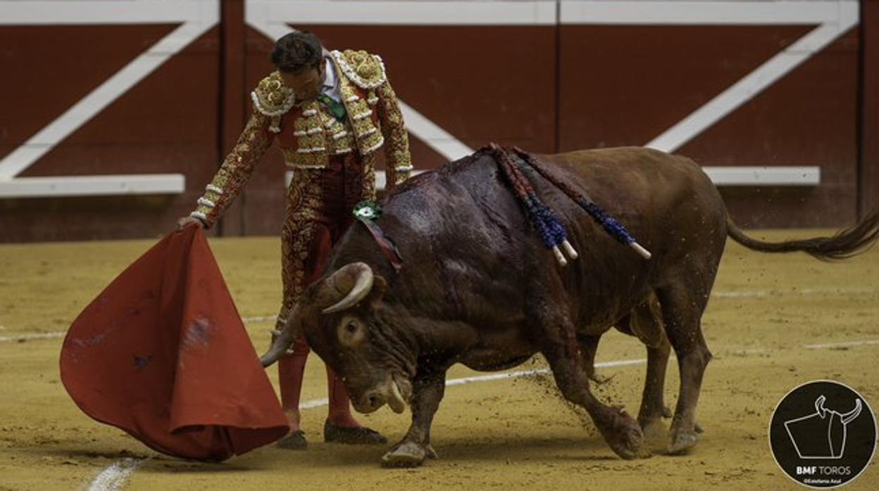 Antonio Ferrera, en un relajado muletazo