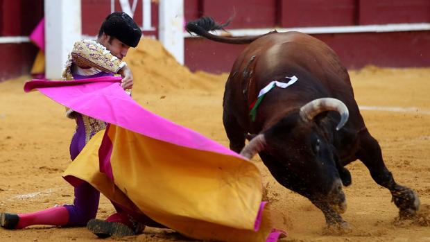 Cayetano y su verano imparable (también en Málaga)