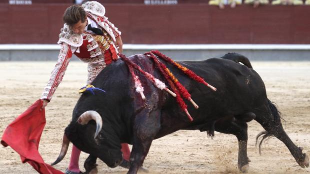 Maxime Solera impacta con un bravo novillo de Dolores Aguirre en Las Ventas