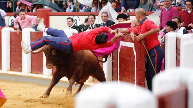 Terrorífica cogida a un monosabio con el segundo toro en Valladolid