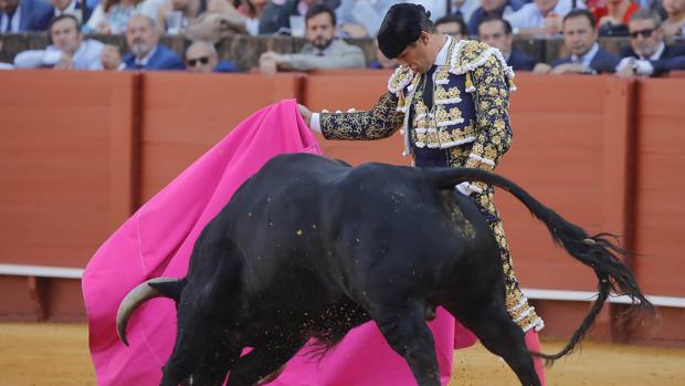 José María Manzanares reaparece en la Feria de San Miguel de Sevilla