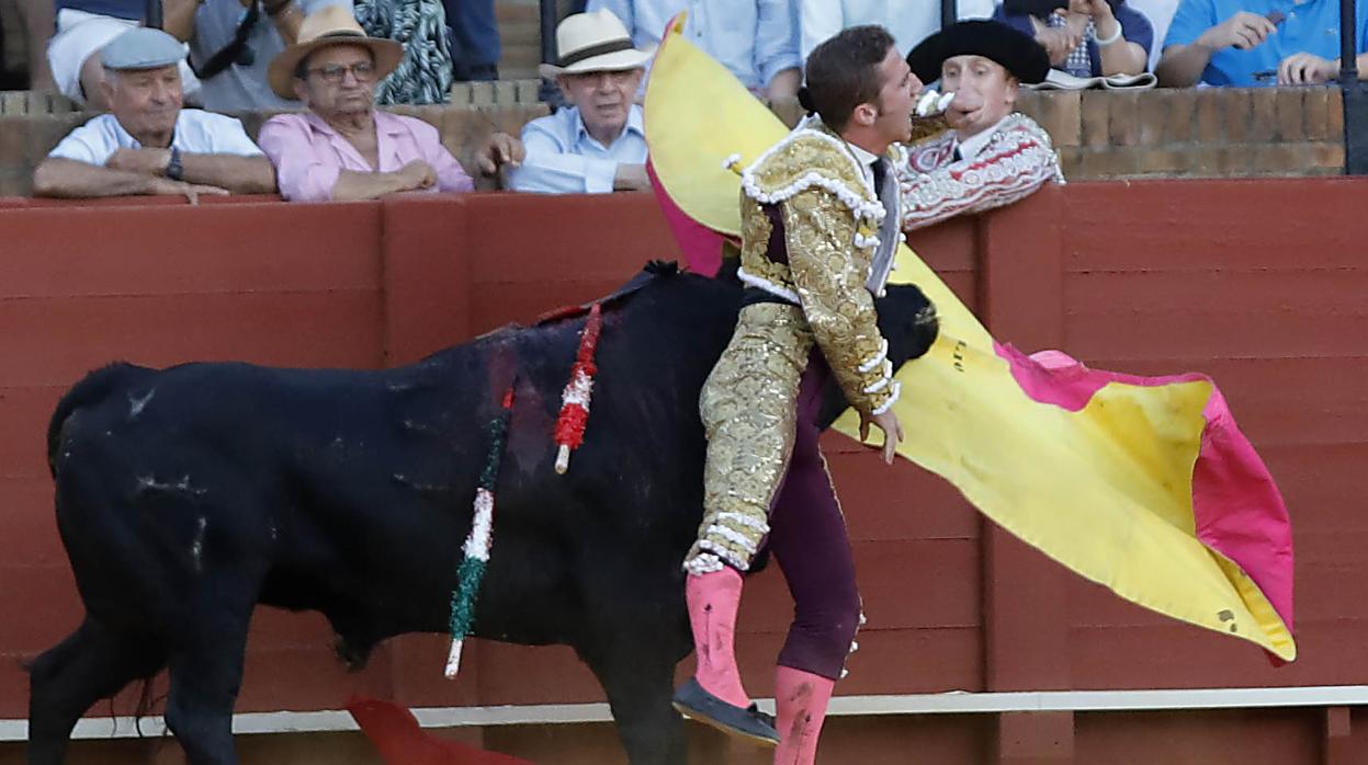 Calerito ha recibido una cornada en la axila izquierda