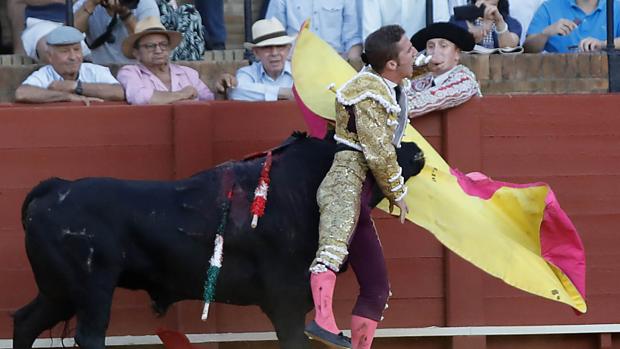 Herido grave Calerito en la novillada de la Feria de San Miguel de Sevilla