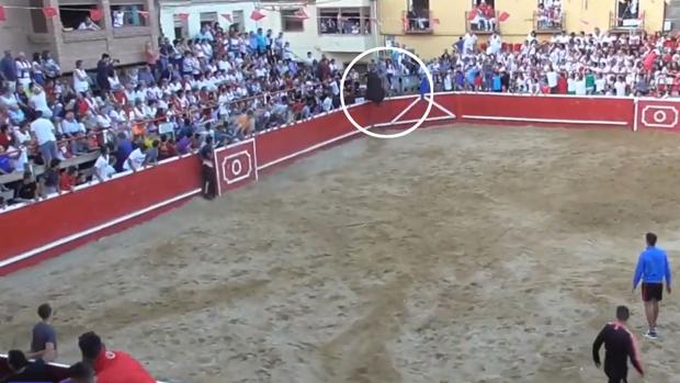 Un toro salta al callejón, siembra el pánico y pega dos cornadas en las fiestas navarras de Cortes