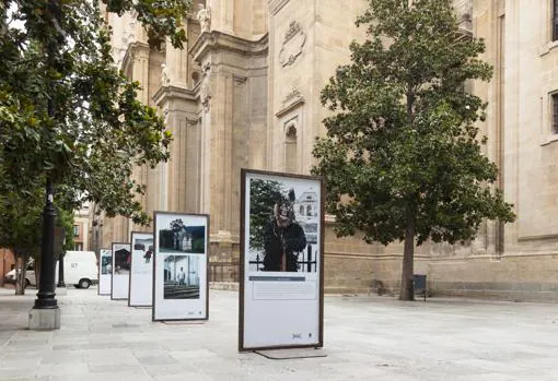 Detalle del display de «The Tree of Life is Eternally Green» frente a la catedral de Granada