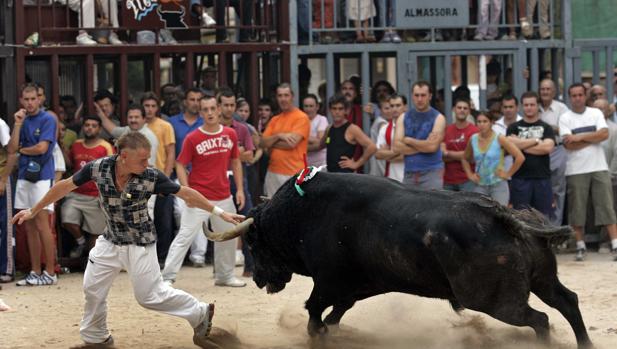 Cinco cornadas mortales y 285 heridos en los «bous al carrer» de la Comunidad Valenciana