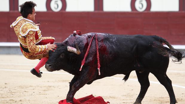 Gonzalo Caballero, intervenido por segunda vez de la cornada en Las Ventas