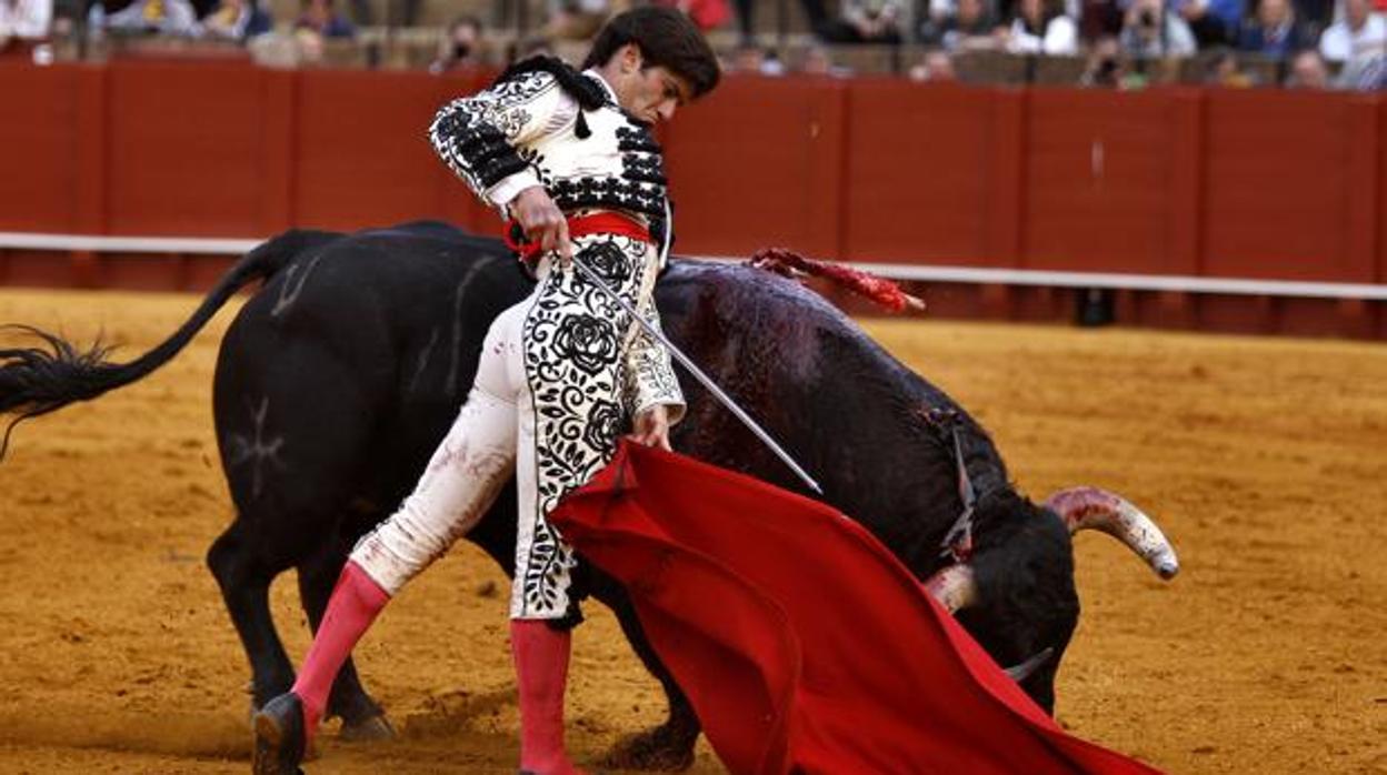 El torero José Garrido en una actuación en Sevilla