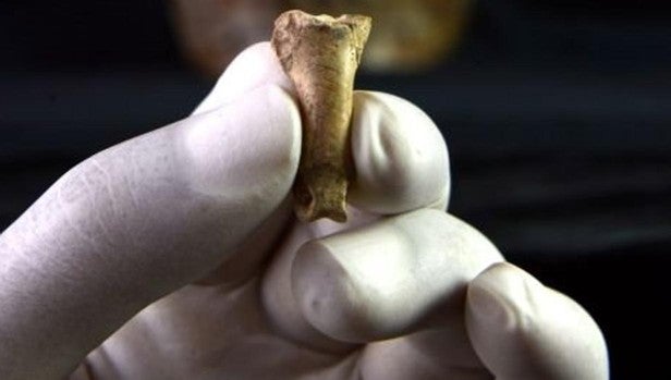 Encuentran en una cueva de Tarragona el último collar hecho por los neandertales