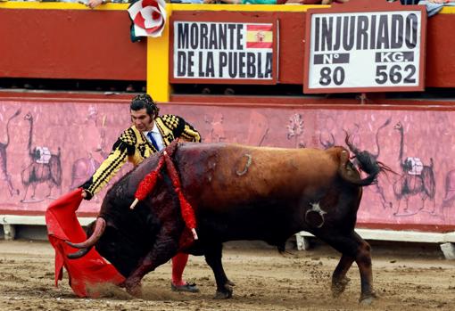 Morante de la Puebla, doblándose con el basto primero