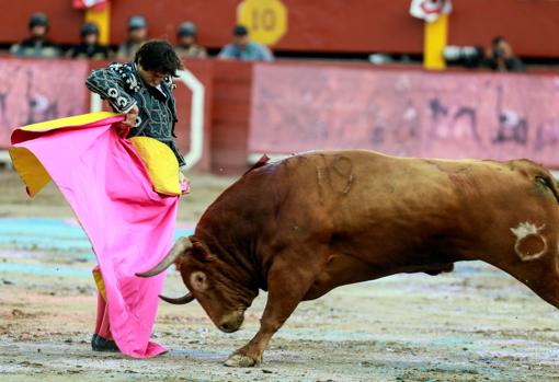 Ajustada chicuelina del ídolo local