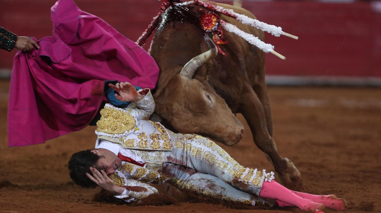 José Mauricio, a merced del toro de Barrralva en una escalofriante escena