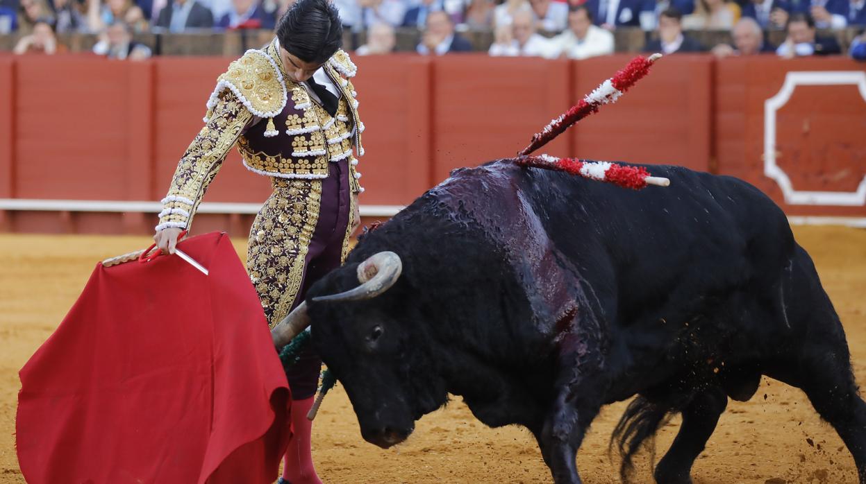 La imagen demuestra por dónde embestía el toro que encumbró a Pablo Aguado