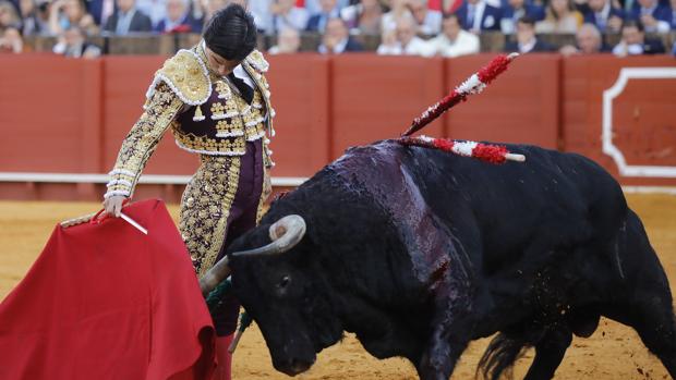 Balance del curso taurino: Pablo Aguado acabó el año liderando el escalafón sevillano