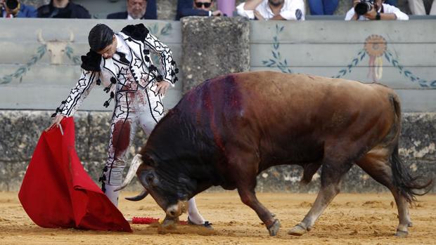 Pablo Aguado, premio Pepe Luis Vázquez de la Caja Rural al «Torero más destacado del año»