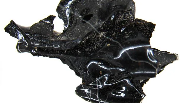 Descubren fragmentos de un cerebro vitrificado por la erupción del Vesubio
