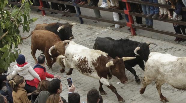 «El Melli», un sanluqueño que quiere ser torero